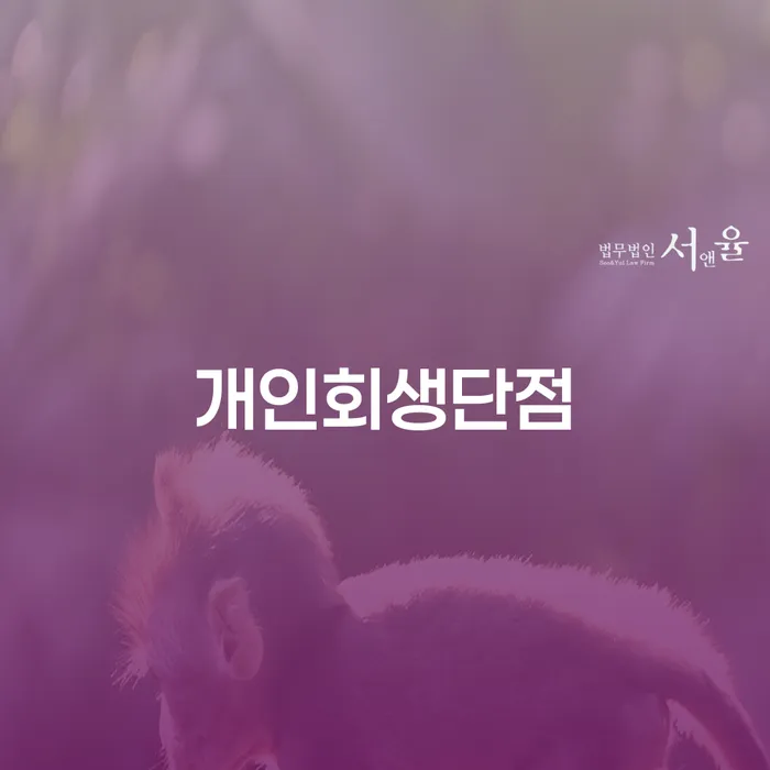 주부파산 개인회생 제도 변호사추천