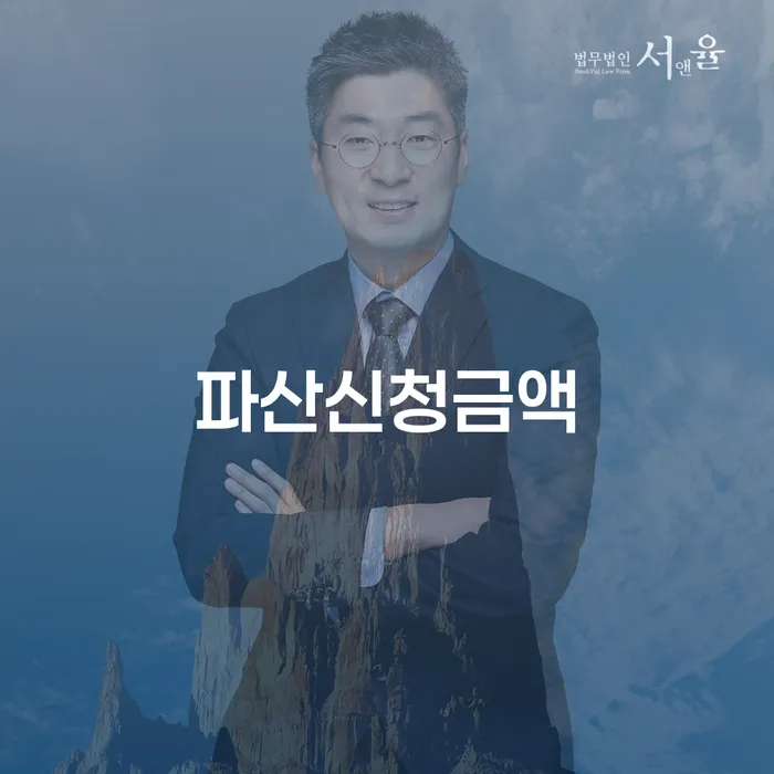 기대출과다자대환대출 연체 시 개인회생 까지