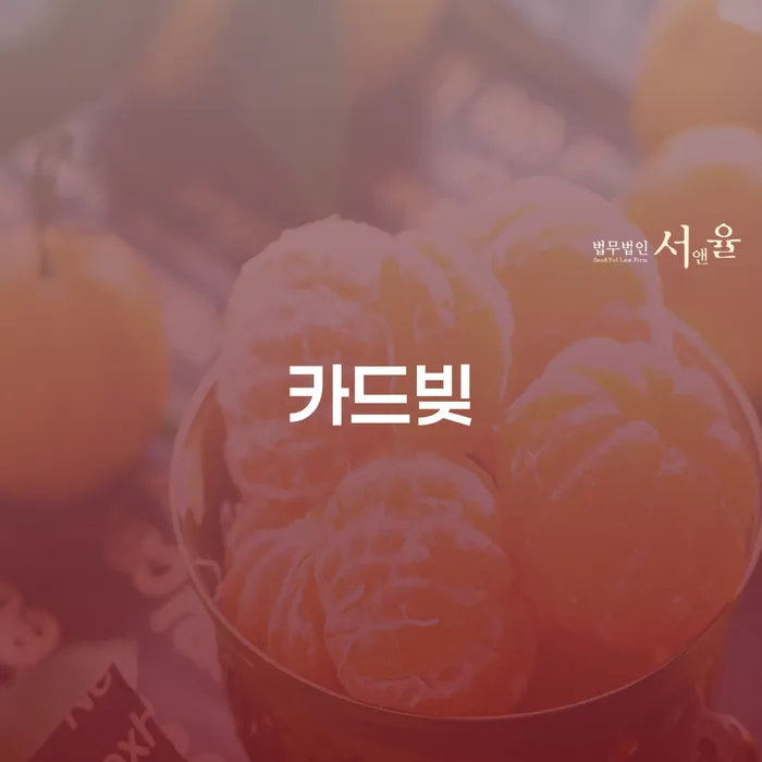 개인회생장단점 개인파산 찾는정보들