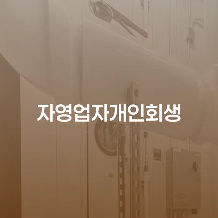 회생 빚 합법적인 빠른방법 있는지확인
