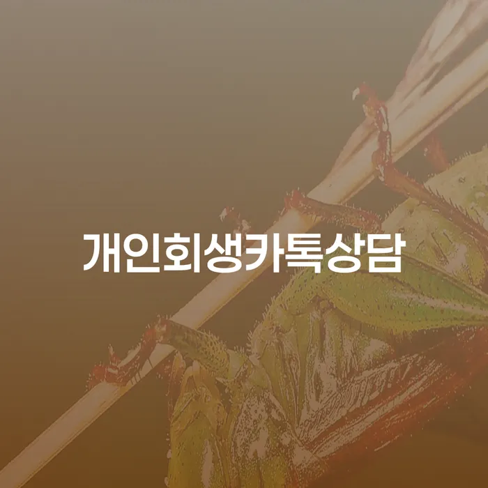고령군 부부회생 개인회생으로 해결방법 해결 방법 알려드려요.