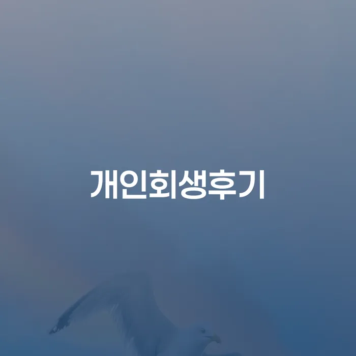 장성군 개인회생신청자격조회 개인회생,개인파산으로 신속하게