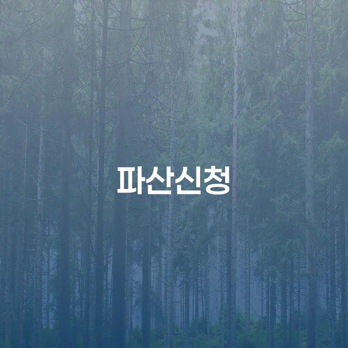 계룡시 개인회생폐지 후 재신청 개인회생 처리방법 관련정보