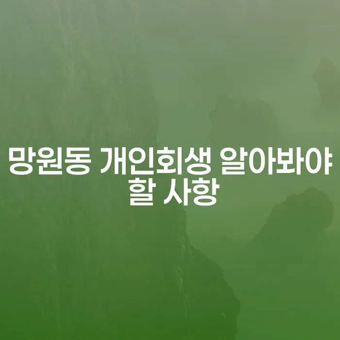 망원동 개인회생 알아봐야 할 사항