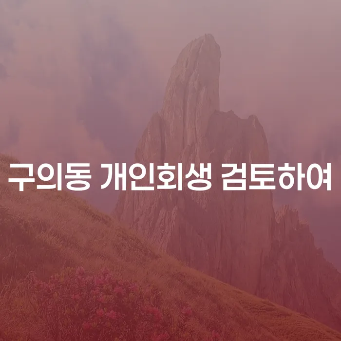 구의동 개인회생 검토하여