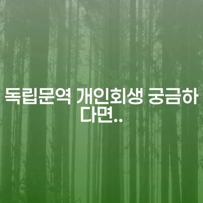 독립문역 개인회생 궁금하다면..