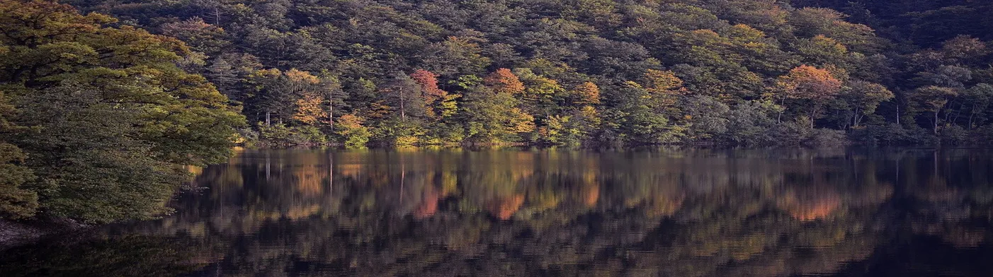 법무법인 서앤율