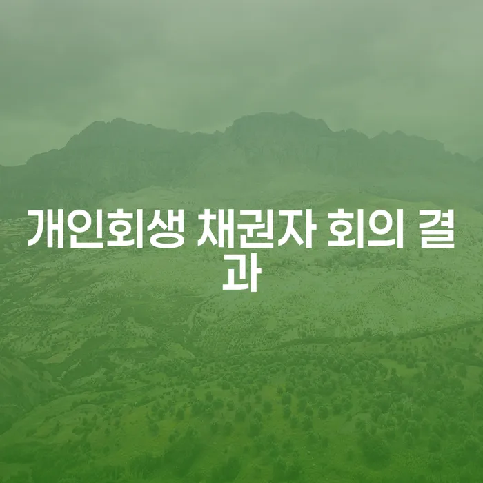 개인회생 채권자 회의 결과는 어떻게 결정되나요?