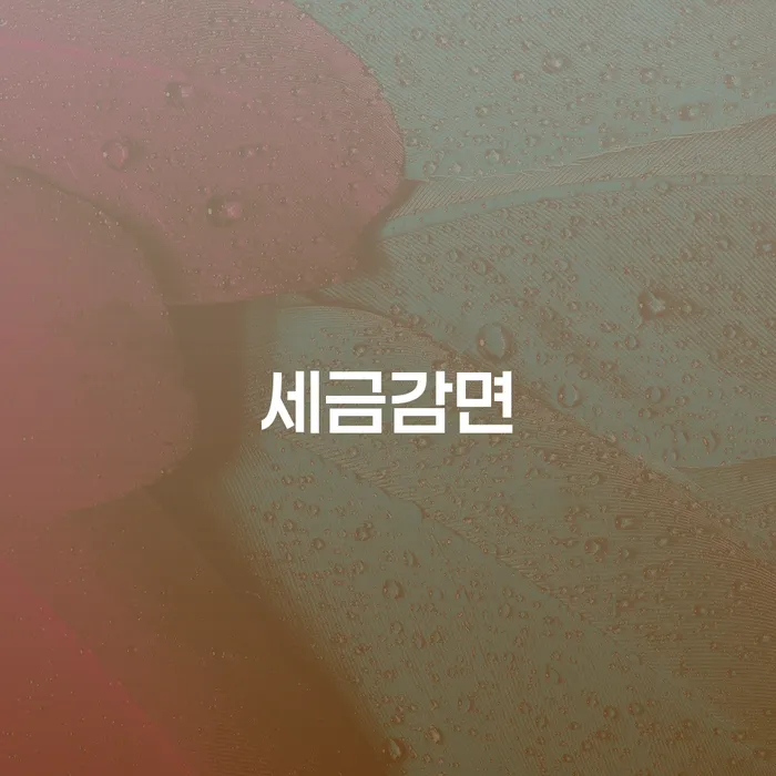 세금감면으로 시작하는 성남시 중원구 개인회생, 당신에게 꼭 필요한 이유는?